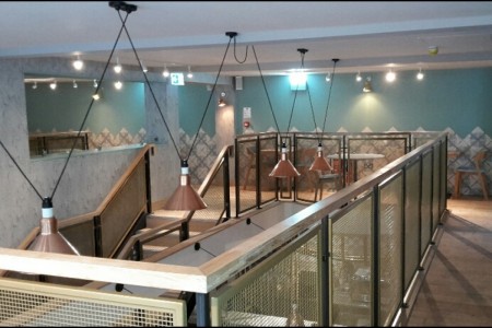 Wildwood, Bournemouth - top of stairs showing lighting from ceiling, blue walls, wooden floor