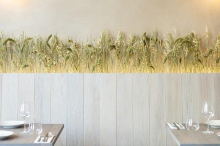 Oakwoods; Notto; full turnkey refit;  Piccadilly; Pasta Restaurant; Michelin Star Chef;  Phil Howard; Dark Kitchen; Full M&E Design; Bespoke Joinery; Wall/Floor Finishes.