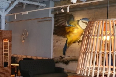 Megans, Islington Square, London, Interior, Lampshades, Macrame, Wall Feature